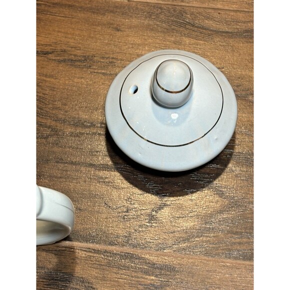 Fred Roberts and Company Made in Japan Teapot Pale Blue with Blue Roses Vintage - Picture 9 of 10